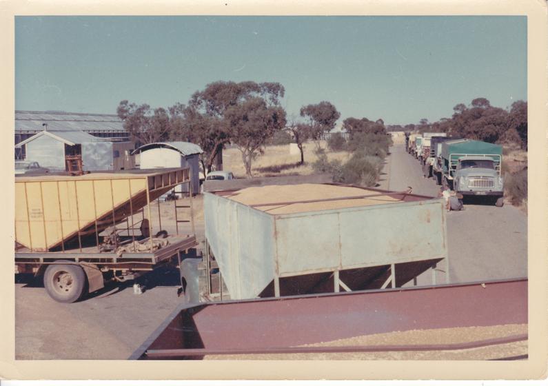 Dunne collection: Early harvest morning line up ready to deliver grain