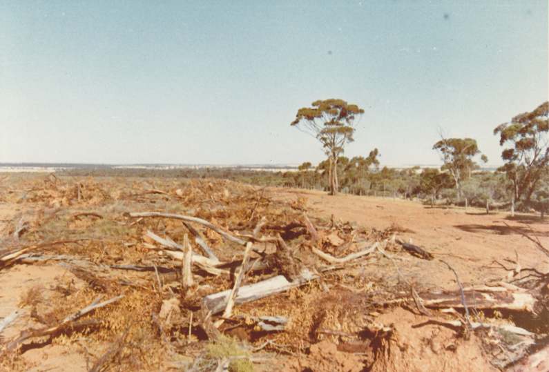 Kirby Collection:1968 clearing the bush on Wongaburra